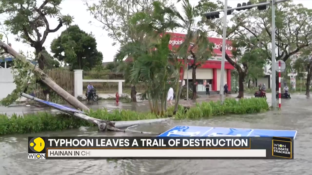 Vietnam: Death toll from Typhoon Yagi rises to 24 | Latest English News | WION Climate Tracker