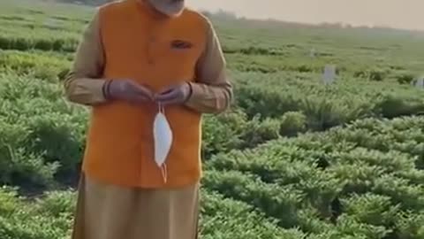 Pm modi inspect chickpea