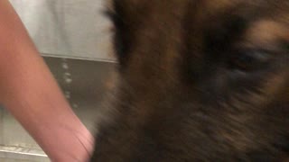 GSD bath