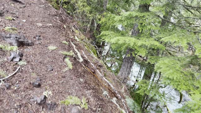 Wilderness Exploring on Steep Trail Above McKenzie River – Sahalie Falls & Koosah Falls Loop – 4K