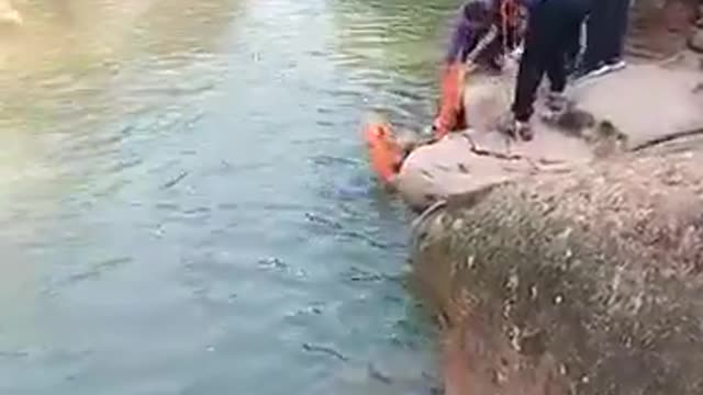 British diplomat saves drowning student in China