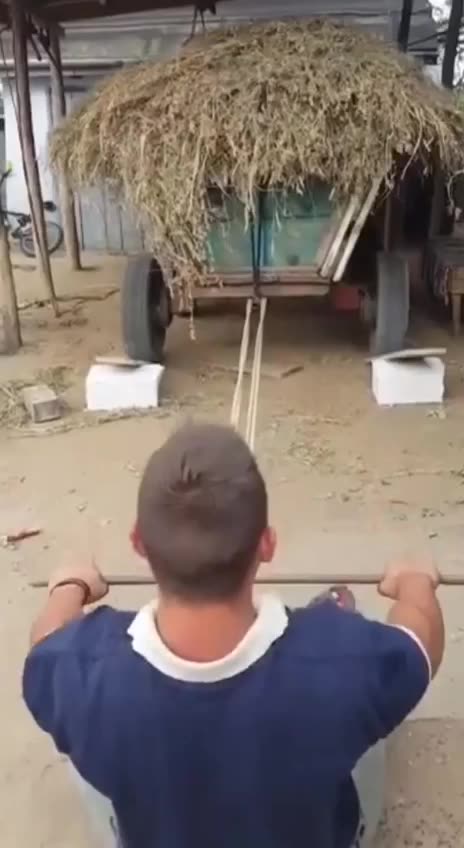 Train Harder 💪🐸🍿