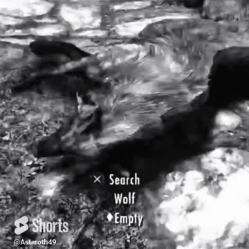 McDicken. Skyrim Survivalist? Day (6)? Teaching a bad dog new ticks. #skyrim #survivalgame