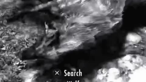 McDicken. Skyrim Survivalist? Day (6)? Teaching a bad dog new ticks. #skyrim #survivalgame
