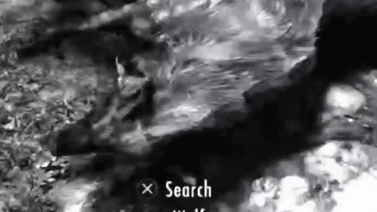 McDicken. Skyrim Survivalist? Day (6)? Teaching a bad dog new ticks. #skyrim #survivalgame