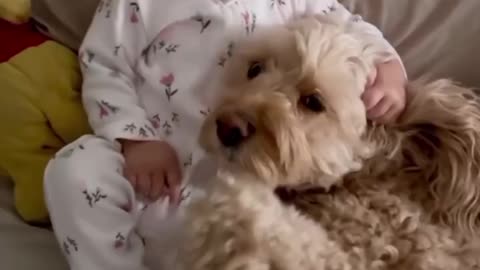 Awe 🥰