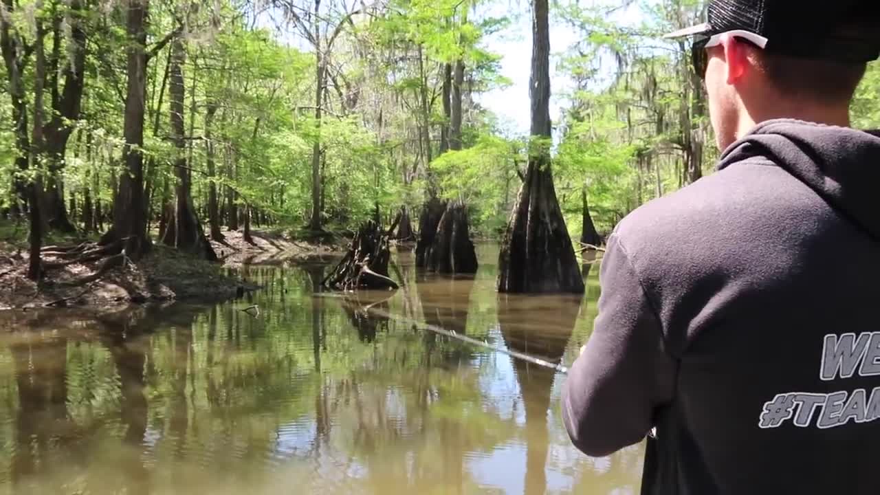 How to Fish a Floating Worm on Cover for Bass - Tips & Catches