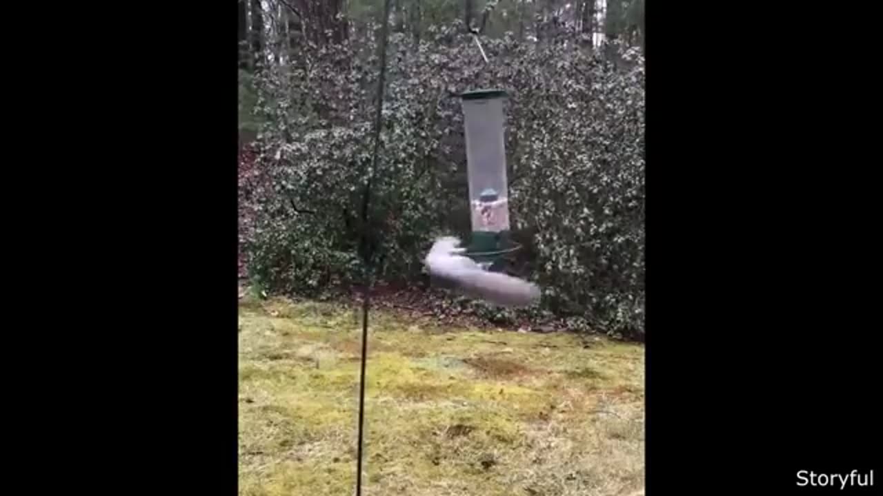 best of the internet