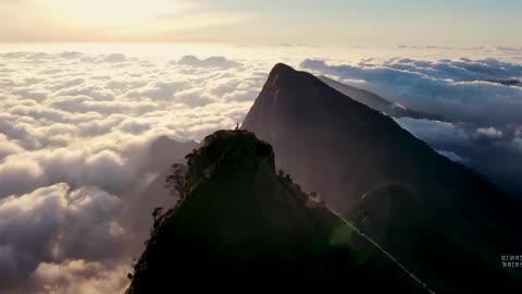 Explore Munnar Kerala