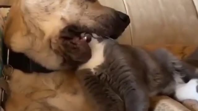 Это любовь