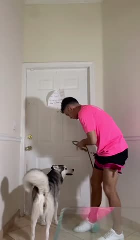 Putting the leash on me instead of my dog to see what she’d do