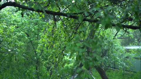 Soothing Calming Meditation, Calming Color Relaxation with Guided Meditation For Deep Relaxation