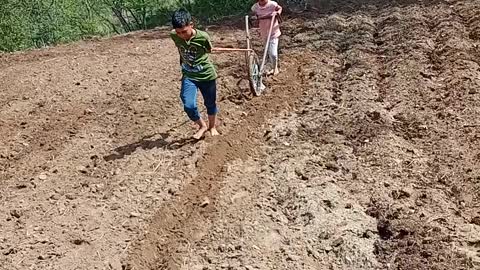 Little kids working hard in the field