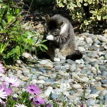20240406 151317 Buddha Washing