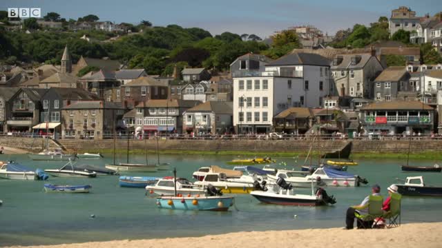 Sneaky Sandwich Thief | BBC Earth