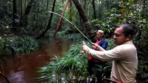 Fishing in the Borneo Forest