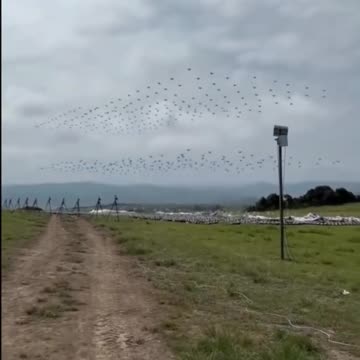 The Chinese government's "drone swarm" program was recently exposed. Creepy