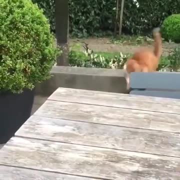 Don’t mess with my friend