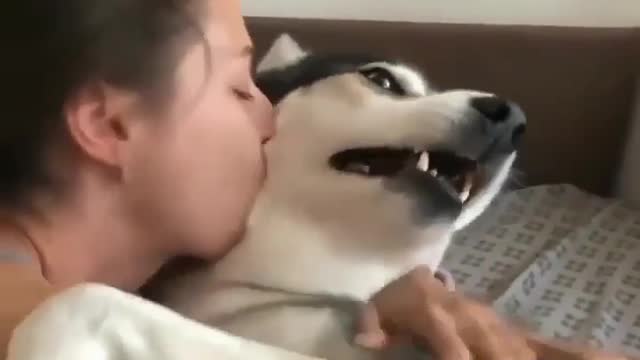 Who love husky