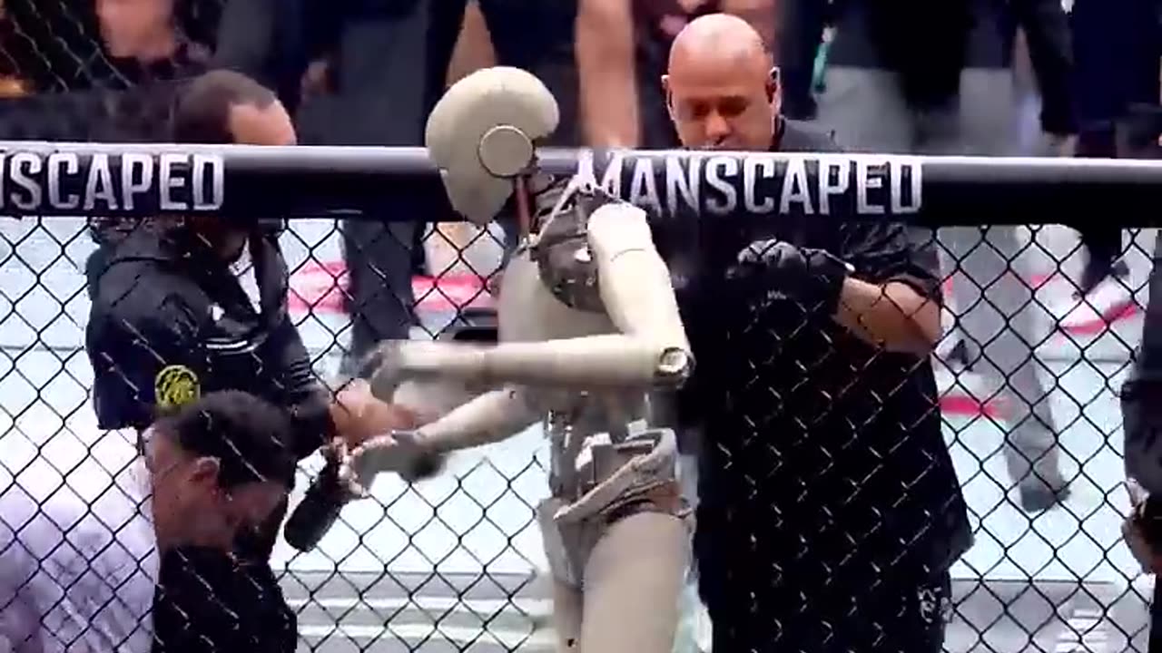 Robot hold power slap video