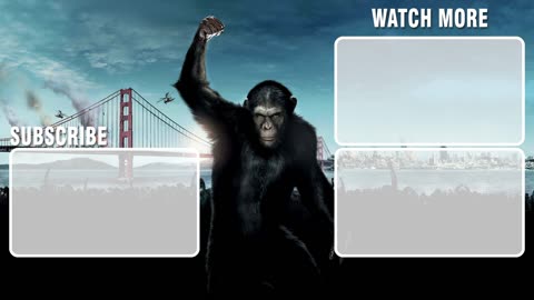 Experiment on Koba and Patient Zero - Rise of the Planet of the Apes (2011) Movie Clip HD