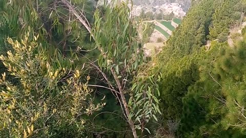 Beautiful Kpk