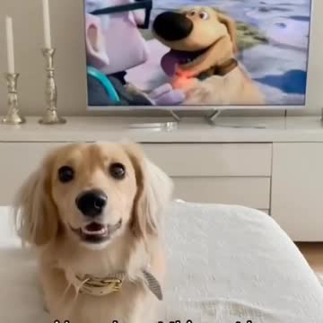 I think my heart just melted