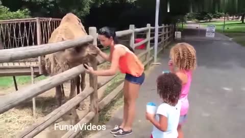 Funny Girl Fails | Funny Animal Video 😀😀