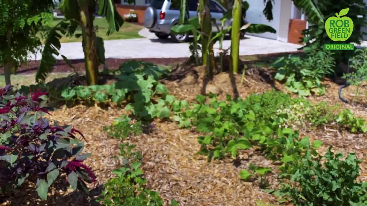 I Grew and Foraged 100% of My Food for an Entire Year!!!