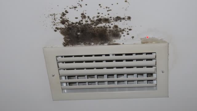 How to control indoor humidity and kill mold issues inside the home.