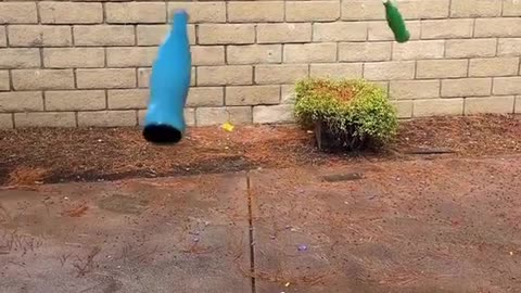 Which colour bottle win