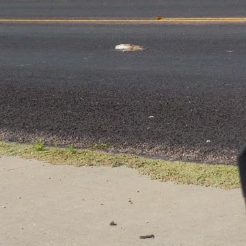 Ironic things in life