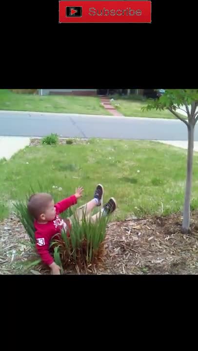 amazing funny video StrangeWorld 01