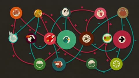Note that each feedback is the product of a link in the loop