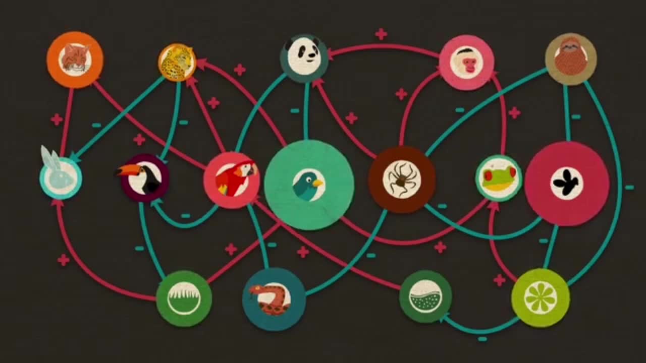 Note that each feedback is the product of a link in the loop