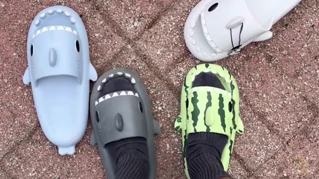 Shark Slippers Different Colors