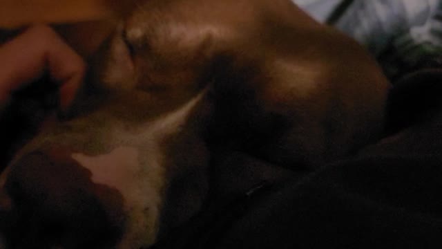 Baby pup melts my heart every time.