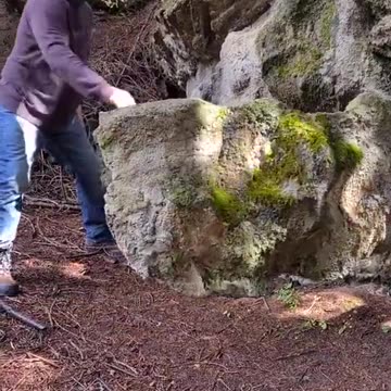 Thousands of abandoned secret bunkers are scattered worldwide