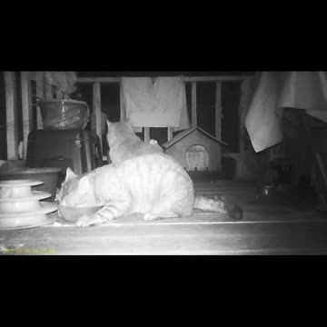 EA S86 - Almost Breakfast