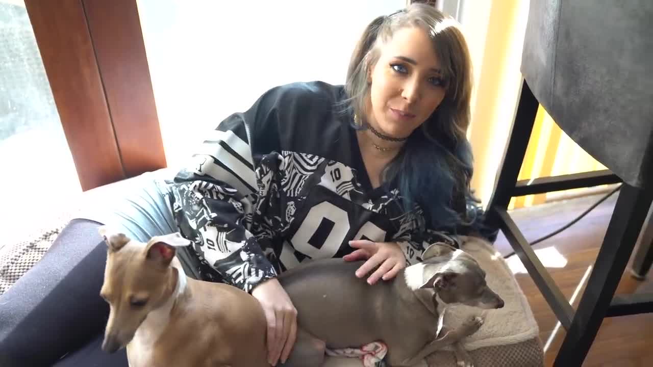 Cat dog together