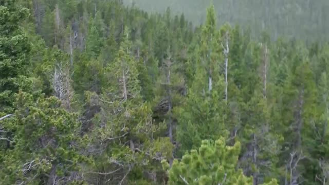 On top of a Mountain near Guinealla Pass in Georgetown Colorado