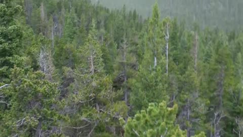 On top of a Mountain near Guinealla Pass in Georgetown Colorado