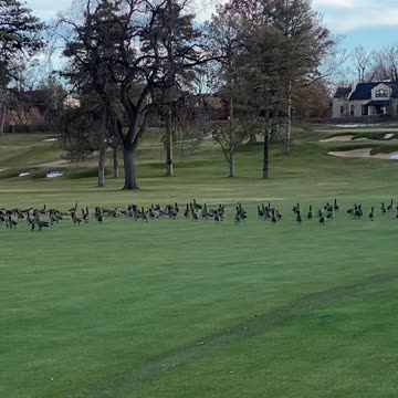 #MurphDocU #Universalism #prayers: #billions #find-God outside of #organized-religion