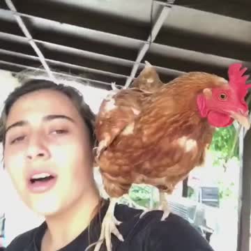 Basically the exact opposite of Snow White