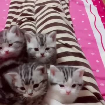 What do you want to do ? Do you want me to babysit for you 🤣🤣😂😂😂😂