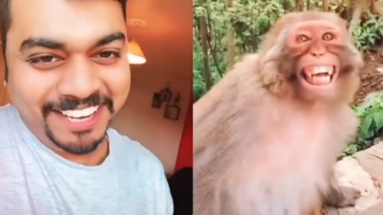 Man and monkey hilariously laughing