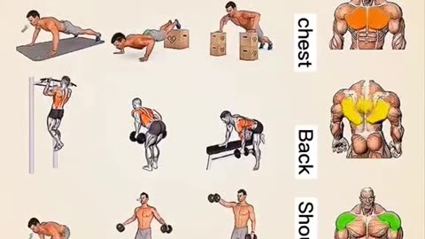 Fitness exercise