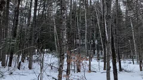 Getting there! But where??