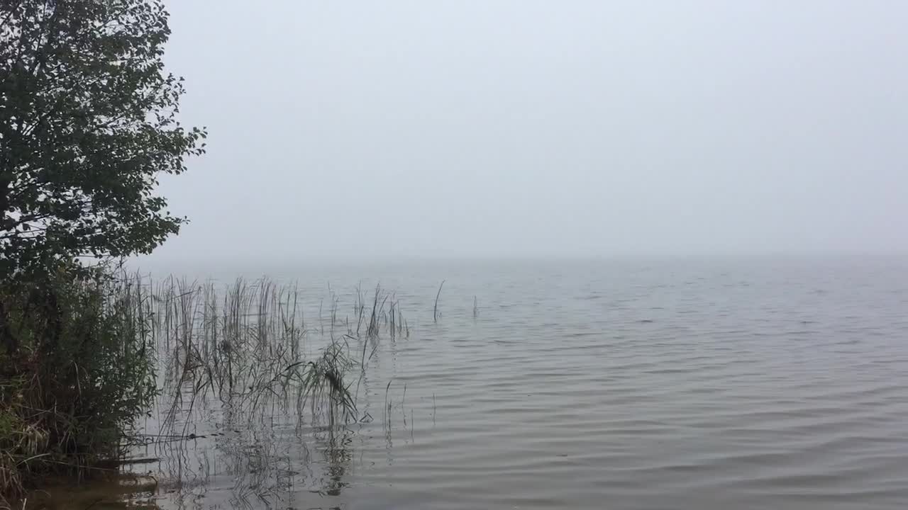 Пейзаж республики беларусь