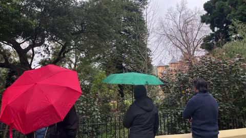 The Umbrella People at Government House - Wednesday 7th September 2022 👨‍👩‍👧‍👦⛱👨‍👩‍👧‍👦☂️👨‍👩‍👧‍👦☔️